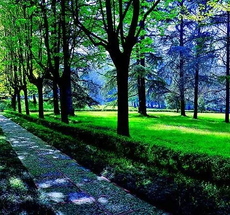 Terme